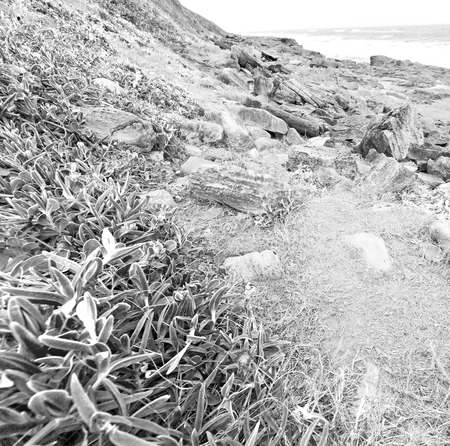 blur in south africa   sky ocean  isimagaliso reserve nature and rocksの写真素材