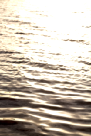 blur  in south africa sea indian ocean and abstract gold wave for sunsetの写真素材