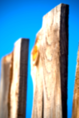 blur in  south africa   abstract wood closeup like background textureの写真素材