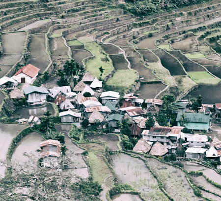 blur  in  philippines  terrace field for coultivation of rice  from banaue unesco site の写真素材