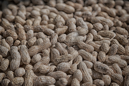 in the market lots of peanuts like concept of healthy food and snack