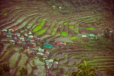 blur  in  philippines  terrace field for coultivation of rice  from banaue unesco siteの写真素材