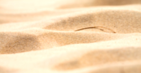 blur  in south africa close up of the coastline beach abstract sand texture background