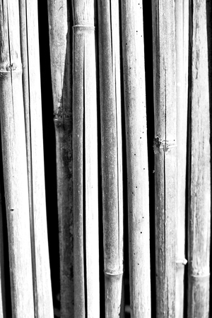 a wall build on wicker bamboo like abstract vintage surfaceの写真素材