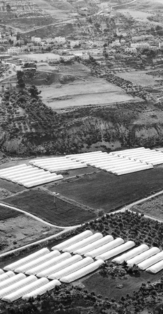 from high coultivation of vegetable in the greenhouse in jordanの写真素材