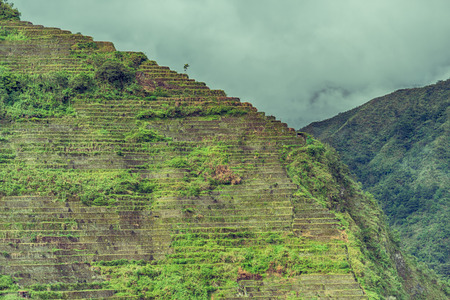 blur  in  philippines  terrace field for coultivation of rice  from banaue unesco siteの写真素材