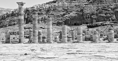 in petra jordan the antique street full of columns and architecture heritageの写真素材