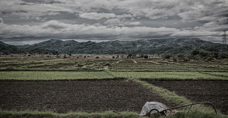 blur  in  philippines  terrace field for coultivation of rice  from banaue unesco site 
の写真素材