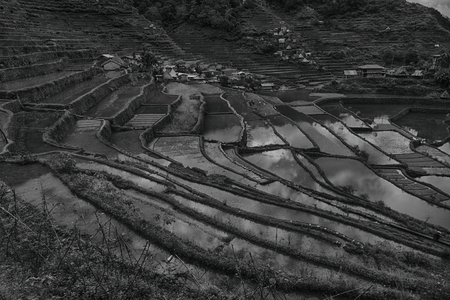 blur  in  philippines  terrace field for coultivation of rice  from banaue unesco site