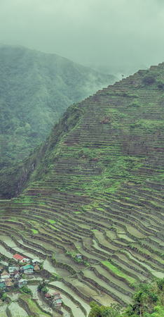 blur  in  philippines  terrace field for coultivation of rice  from banaue unesco siteの写真素材