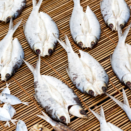 blur  in  philippines   lots of fish salted and dry preparation for the marketの写真素材