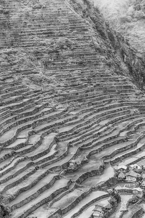 blur  in  philippines  terrace field for coultivation of rice  from banaue unesco siteの写真素材