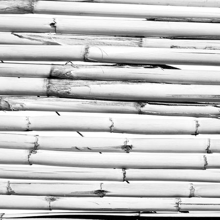 abstract texture background of a bamboo wall in the skyの写真素材