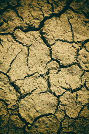 in the desert the dry ground like background textureの写真素材