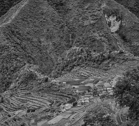blur  in  philippines  terrace field for coultivation of rice  from banaue unesco siteの写真素材