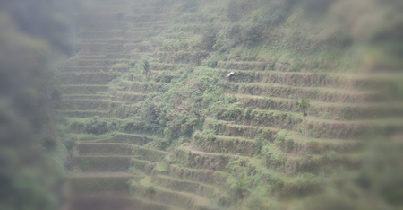 blur  in  philippines  terrace field for coultivation of rice  from banaue unesco siteの写真素材
