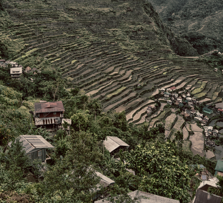 blur  in  philippines  terrace field for coultivation of rice  from banaue unesco site の写真素材