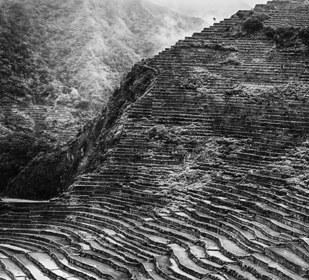 blur  in  philippines  terrace field for coultivation of rice  from banaue unesco site 
の写真素材