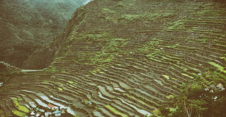blur  in  philippines  terrace field for coultivation of rice  from banaue unesco siteの写真素材