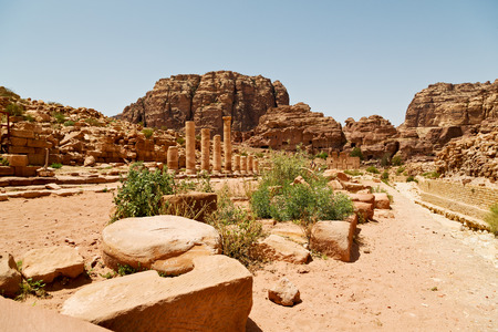 in petra jordan the antique street full of columns and architecture heritageの写真素材