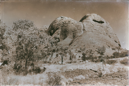 The concept of wilderness environment in the landscape outbackの写真素材