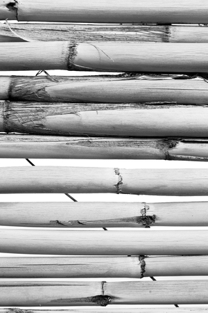 abstract texture background of a bamboo wall in the skyの写真素材