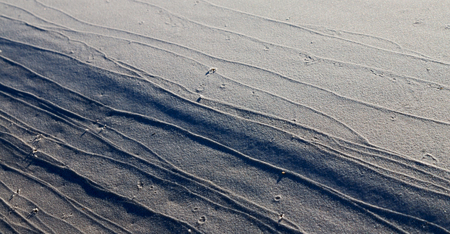in australia Whitsunday Island and the texture abstract of the white beach