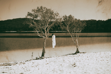 in  australia  lake mckenzie  tourism tree and relax in the paradiseの写真素材