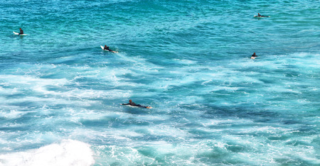 australia sydney people in the ocean surf and sport