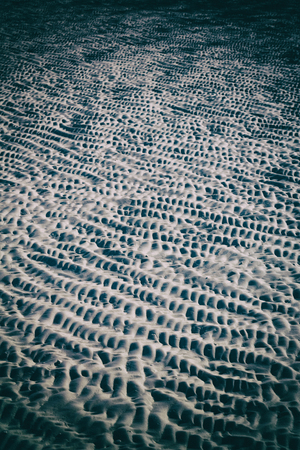 in australia Whitsunday Island and the texture abstract of the white beach