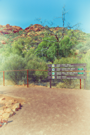 in  australia   the kings canyon nature wild   and outbackの写真素材