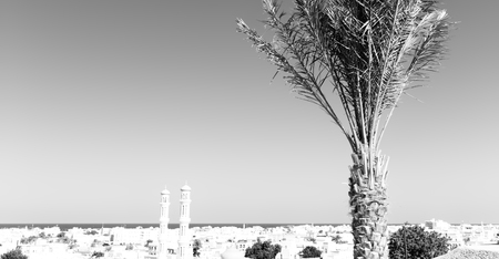 in muscat oman the cityscape and the palm near ocean viewの写真素材