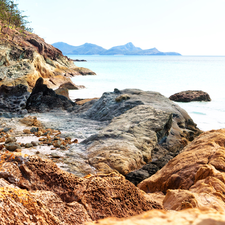 in  australia  the  beach of whitsunday island the tree and the rocksの写真素材