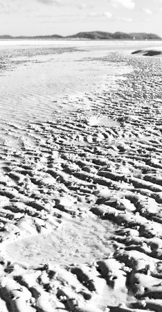 in australia the beach of Whitsunday Island like paradise concept and relaxの写真素材