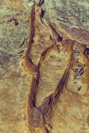abstract background texture of the rock  in the nature and empty space concept of solid and surface