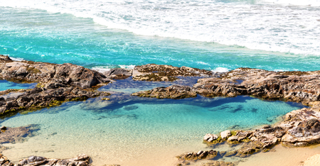 in  australia  the  beach of whitsunday island the tree and the rocksの写真素材