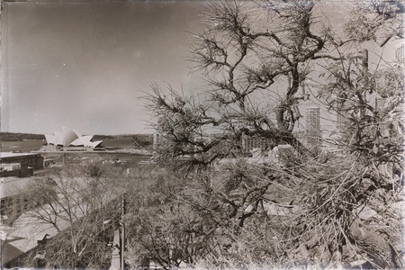 in  australia  sydney opera house the bay   and the skyline of  the cityのeditorial素材