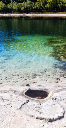 In Australia lake McKenzie tourism tree and relax in the paradiseの写真素材