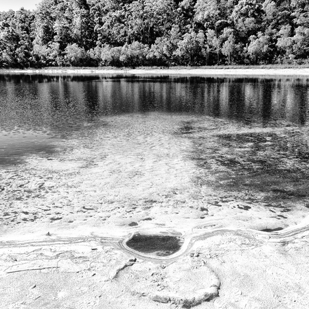 in  australia  lake mckenzie  tourism tree and relax in the paradiseの写真素材