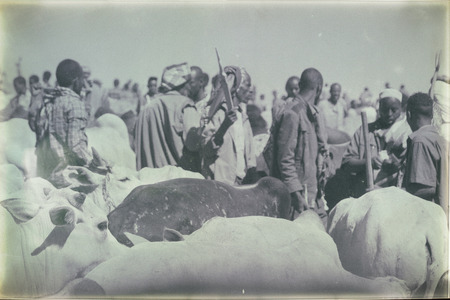 Ethiopia, January 2018 - A crowd of people in the animal market with lots of cowのeditorial素材
