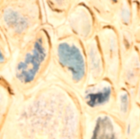 blur old wall close up like abstract texture  background empty spaceの写真素材