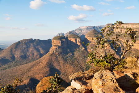 blur  in  south africa  blyde river canyon plant rock and pond water   の写真素材