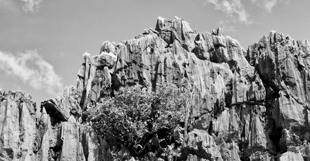 blur in philippines view from a boat of  palm cliff beach and rock from pacific oceanの写真素材