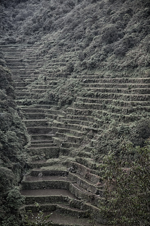 blur in philippines terrace field for cultivation of rice from banaue siteの写真素材