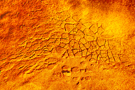 old desert and the abstract cracked sand texture  in oman    rub  al khali
