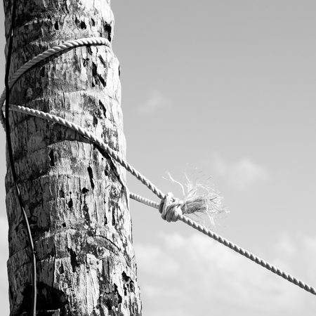 blur  in   philippines  a rope from an hammock near the ocean shore and cloudの写真素材
