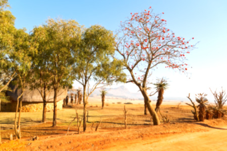 blur in swaziland   mlilwane wildlife   nature  reserve mountain and treeの写真素材