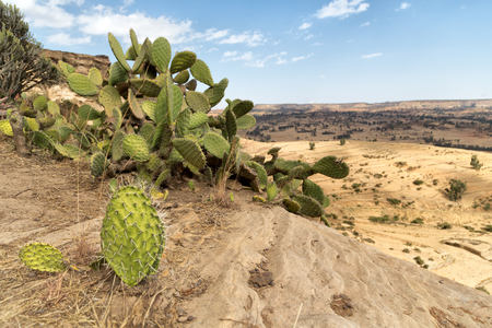 In Ethiopia Africa the panorama in the valley mountain and skyの写真素材