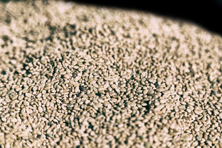 abstract background texture in a market lots of natural food for vegetarianの写真素材