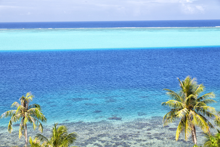 in polynesia bora bora  the view in the  coastline lagoon  and palm like paradise concept and relaxの写真素材